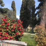 foto villa aulin spazi (1)