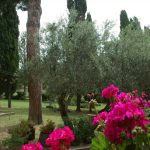 foto villa aulin spazi (10)