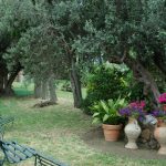 foto villa aulin spazi (11)