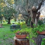 foto villa aulin spazi (4)